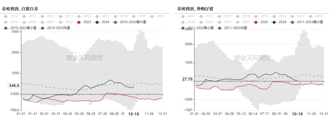 云评论 | 玉米：一点寒芒先到